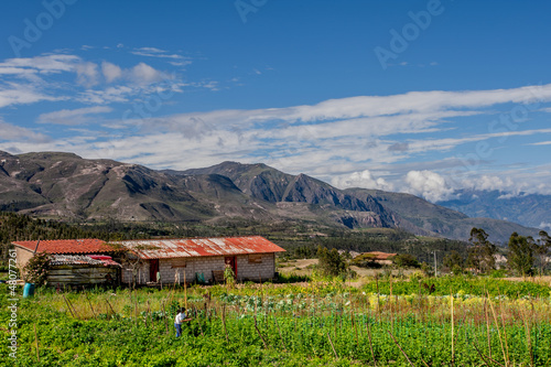 Finca (farm) on the Road to Saraguro, Ecuador photo