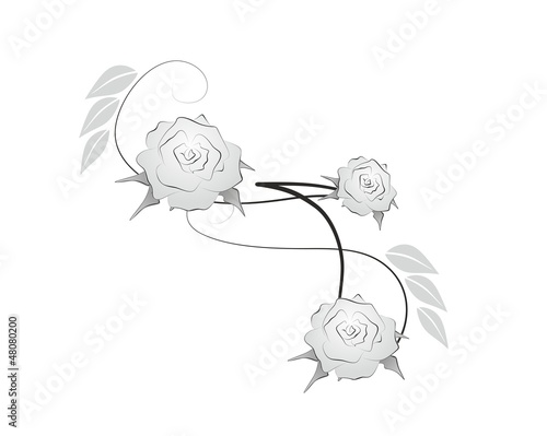 rose 3012a