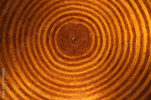 Wallpaper Mural A circle background Torontodigital.ca