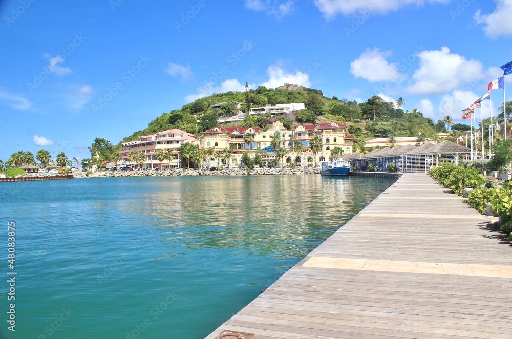 Fototapeta premium Caribbean coastline 