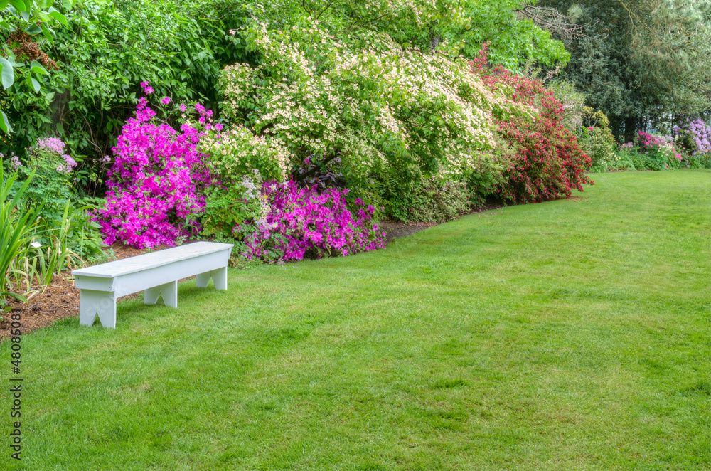 Landscaped garden scene with white bench Landscaped garden scene with white bench