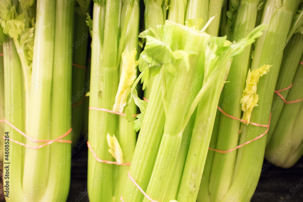 Fototapeta premium fresh celery at the market