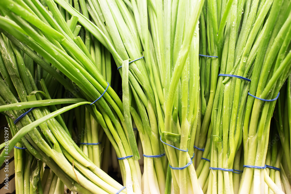 Fototapeta premium green onion bunches at market