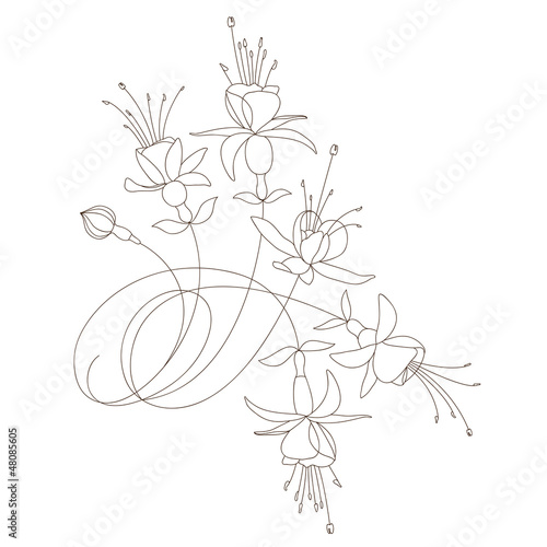 vector floral design