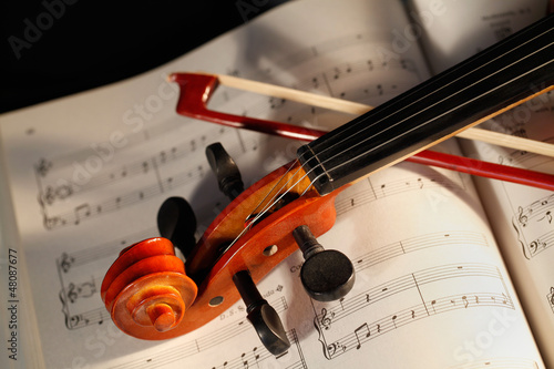 violino photo