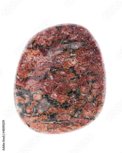 Mineralien: Leopardenfelljaspis auf weißem Hintergrund