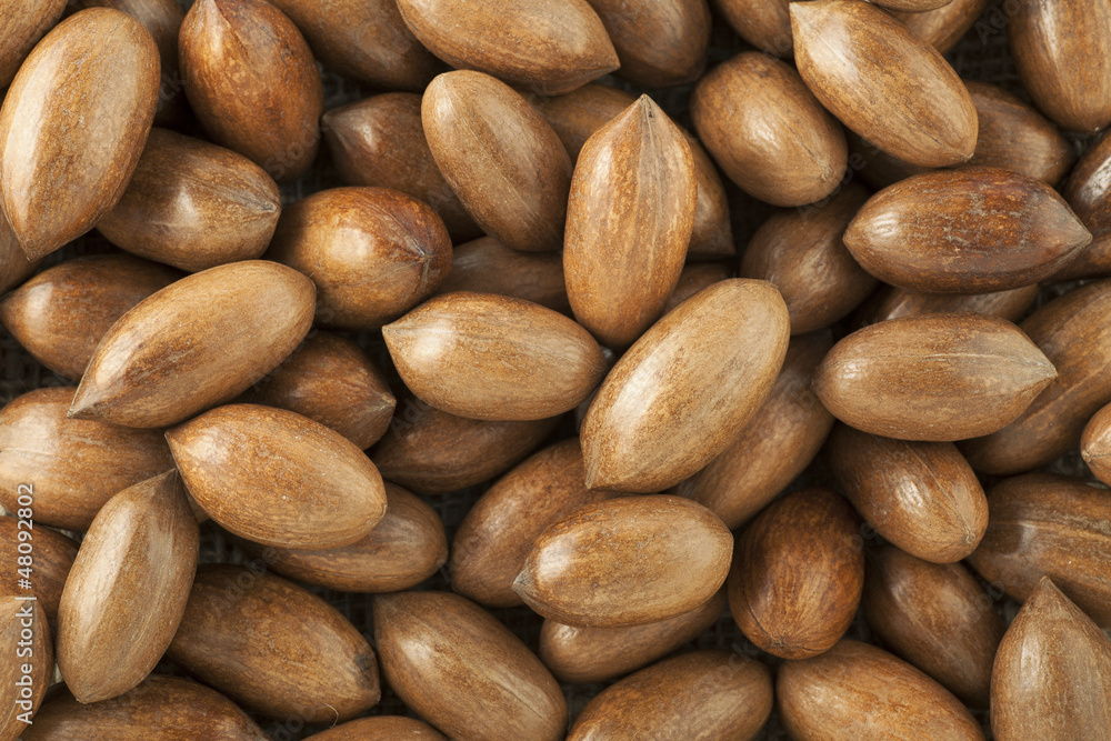 Pecan Background Pecan Background