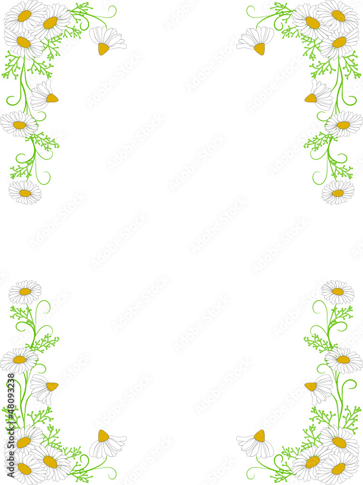 abstrakt, blume, design,floral, kamille, rahmen, vektor, abstrakt, blume, design,floral, kamille, rahmen, vektor,