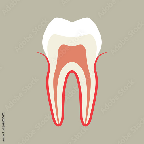 Tooth