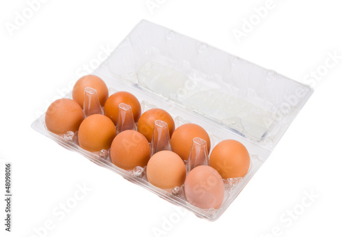 eggs isolated