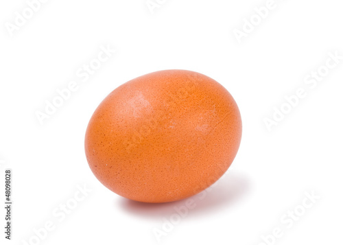 eggs isolated