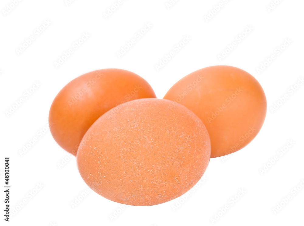 eggs isolated