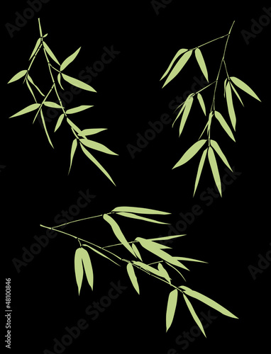 Fototapeta Naklejka Na Ścianę i Meble -  green bamboo branches collection on black