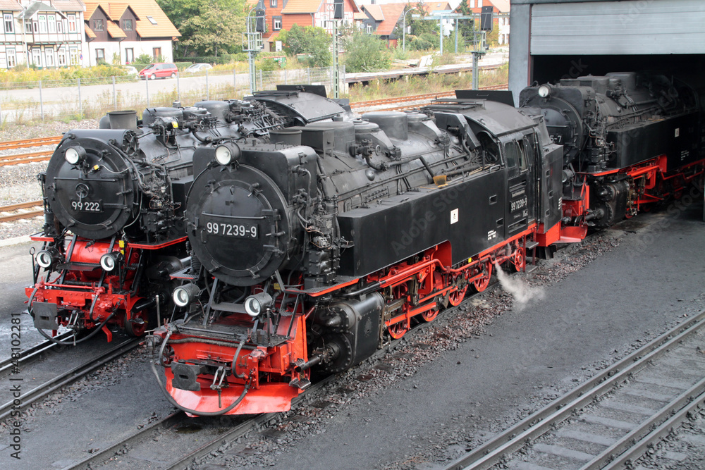 Naklejka premium Dampflokomotive der Harzer Schmalspurbahnen