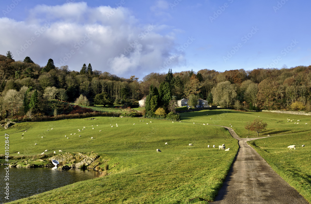 Fototapeta premium House amidst trees in the Winster Valley, Cumbria