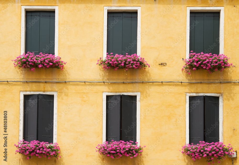 Old yellow facade with pink flowers.