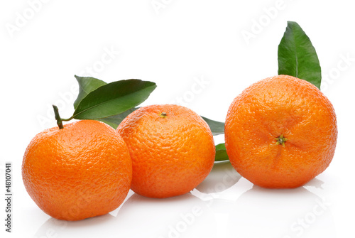 Three mandarin