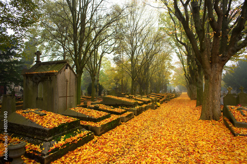 Autumn morning