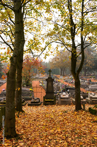 Cemetery in Autumn