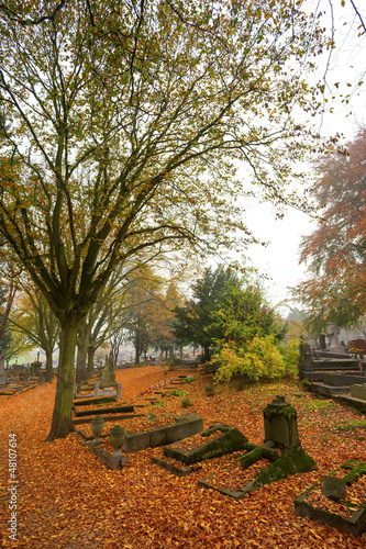 Cemetery in colorful autumn