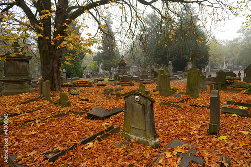Graves with autumn leaves