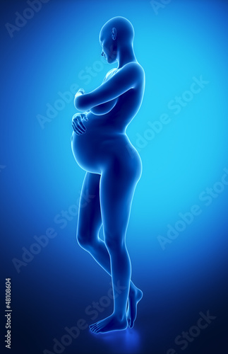 Pregnant woman lateral view © CLIPAREA.com