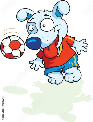 Dog plays football