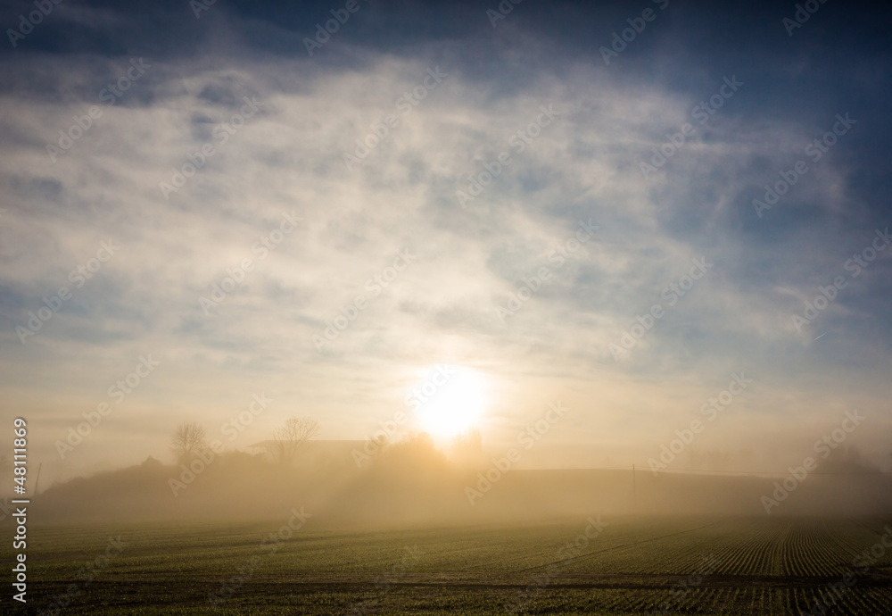 Obraz premium Foggy Winter Morning