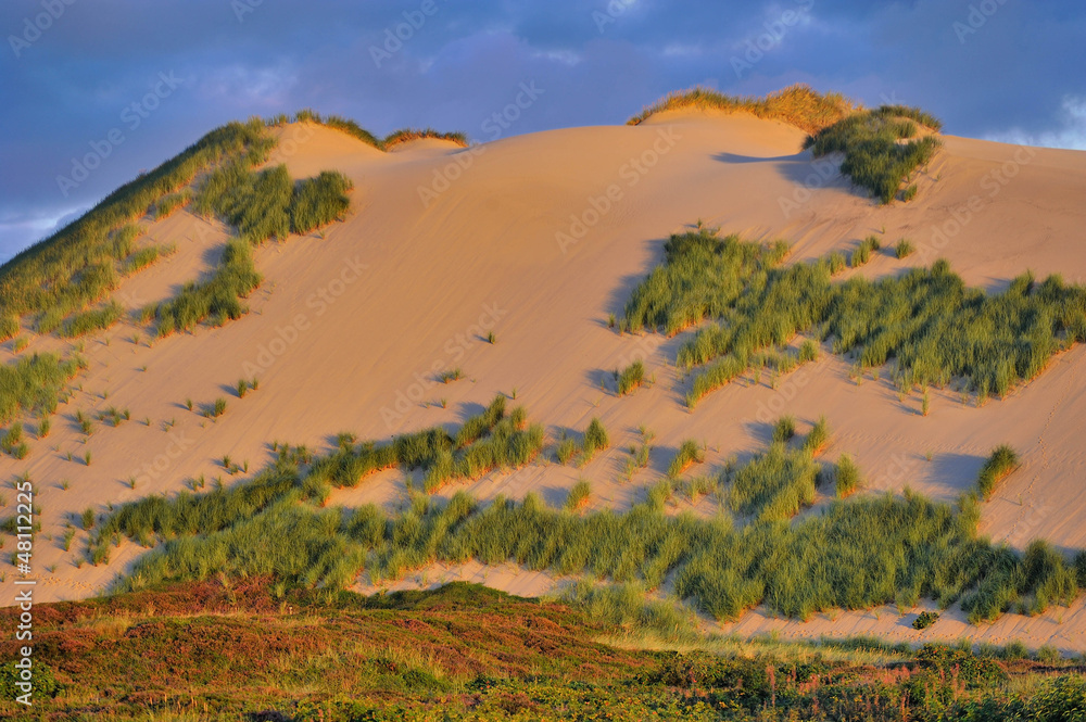 Fototapeta premium Wanderdüne Sylt