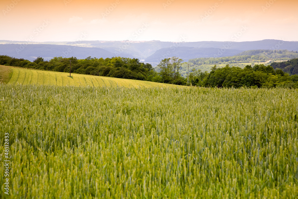 Agriculture Landscape