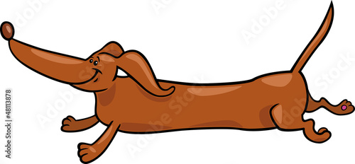 running dachshund dog cartoon illustration