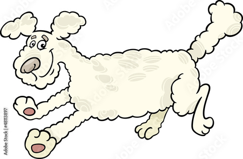 running poodle dog cartoon illustration