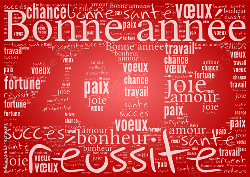 Nuage de Mot 2013