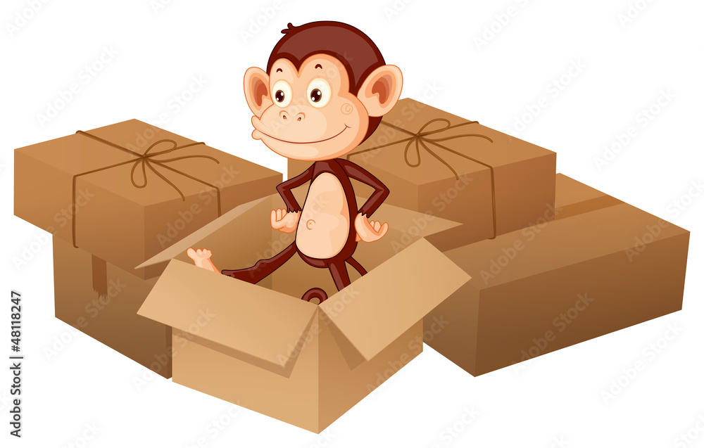 A smiling monkey and boxes