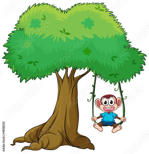 A monkey playing swing on tree