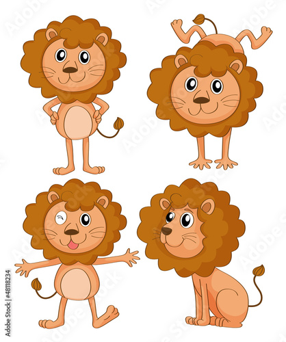 Four lions