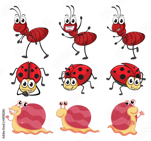 A snail, a ladybug and an ant © GraphicsRF