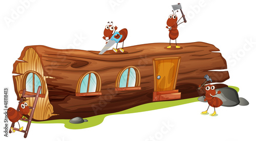 Ants and a wood house