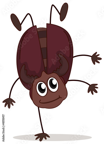 A jumping beetle