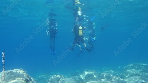 Wallpaper Mural Learning to Scuba dive Torontodigital.ca