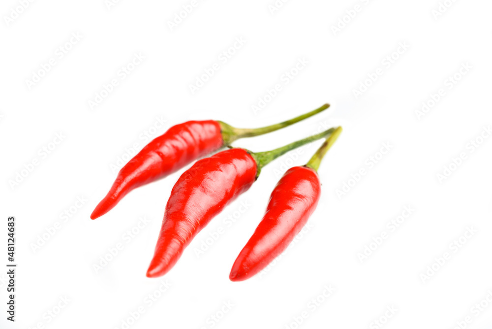 peperoncino vietnamita - vietnam red hot chili pepper peperoncino vietnamita - vietnam red hot chili pepper
