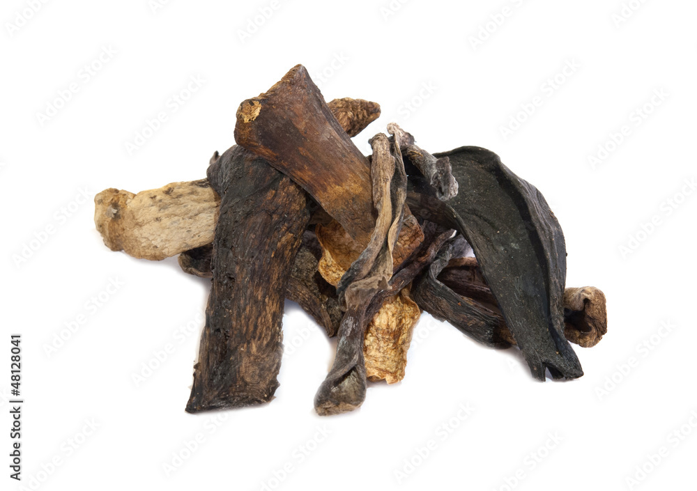dried mushrooms dried mushrooms