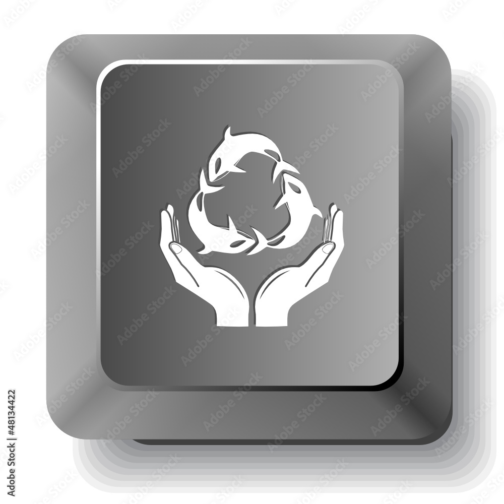 Protection nature. Vector computer key. Protection nature. Vector computer key.