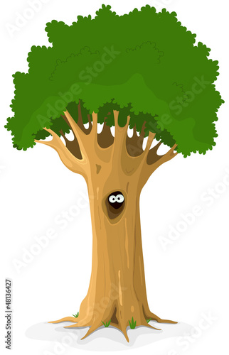 Owl Or Animal Eyes In Tree Hollow