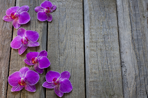 Orchid on wooden boards spa cosmetic abstract vintage background