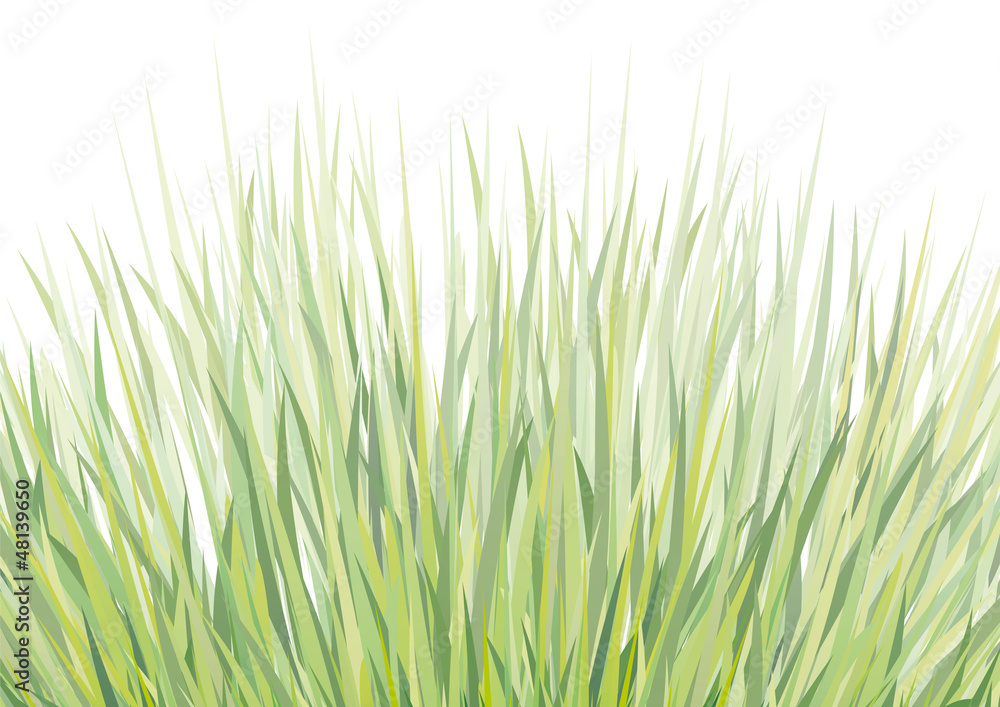 Obraz premium sfondo con erba