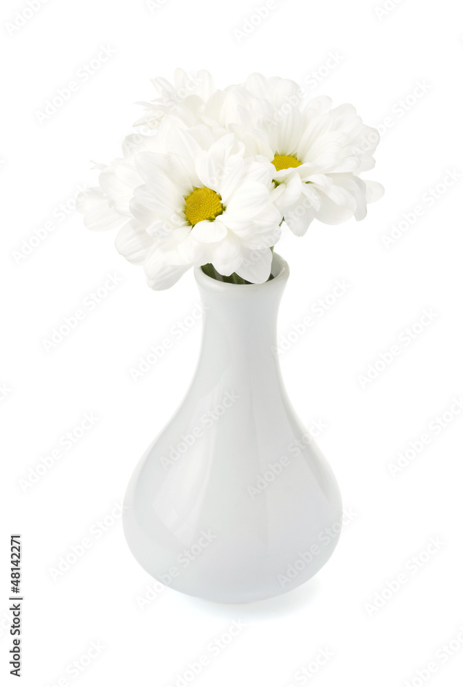 chrysanthemum in vase chrysanthemum in vase