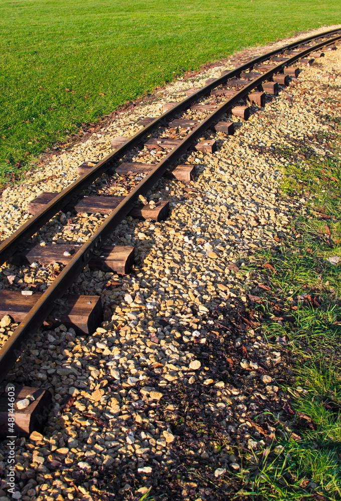 Naklejka premium old rusty railtracks through a meadow