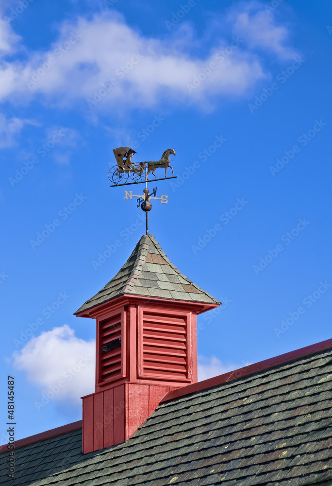 Weather vane at roof top