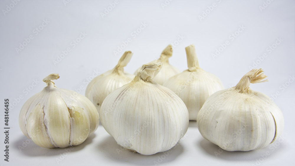 Obraz premium garlic